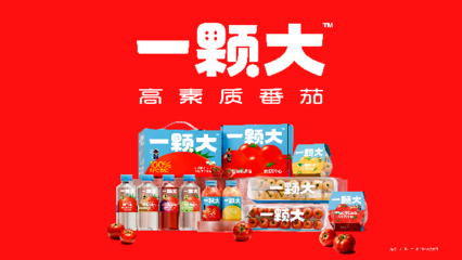 一顆大櫻桃番茄的東南亞之旅 中國蔬菜“出?！卑鎴D再拓展